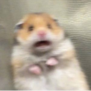 Meet your Posher, Susa